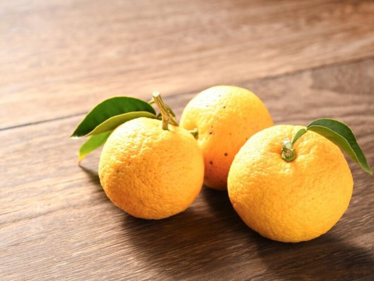 年末年始休業のお知らせ